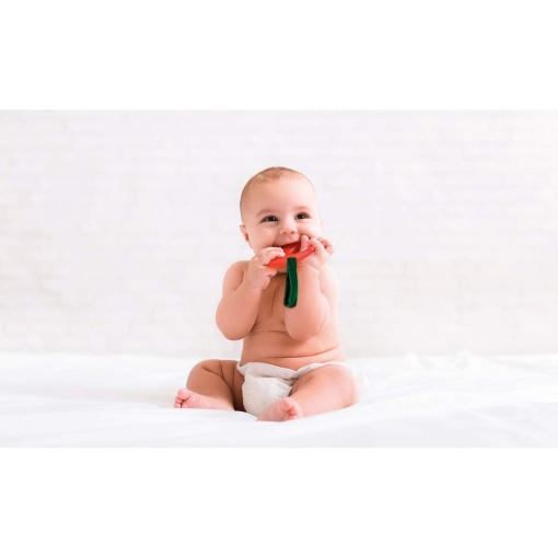 Ginásio infantil jardim feliz Clementoni Baby