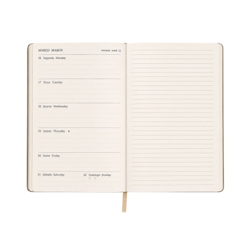 Weekly planner A5 2027 Papiro Animal Graphic dolphin with elastic closure