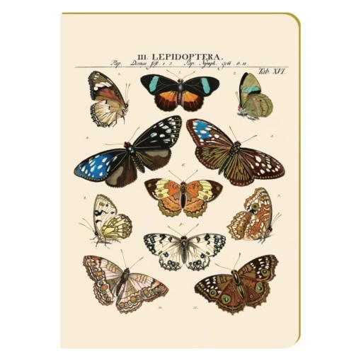 Caderno A5 pautado 96 folhas texturado Aquarupella Planche Papillons Vintage