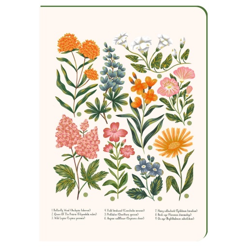 A5 lined notebook, hardcover, 96 textured sheets, Aquarupella Planche Botanique Vintage