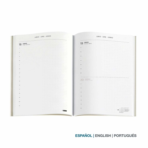 A5 2027 Daily Planner Miquelrius Plus Back to Basics Blue