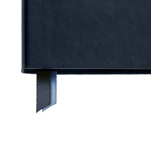 A5 2027 Daily Planner Miquelrius Plus Back to Basics Blue