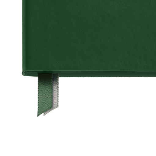 A5 2027 Daily Planner Miquelrius Plus Back to Basics Green