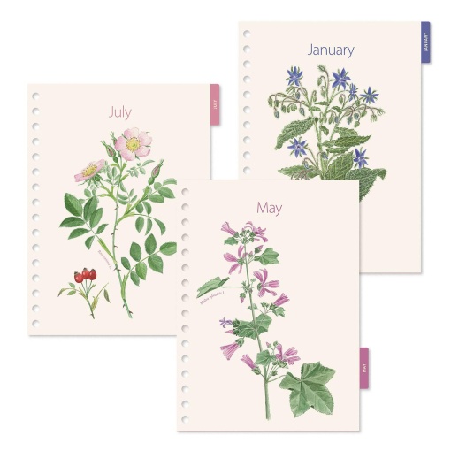 Weekly agenda A5 2027 spiral Miquelrius Plus Trends Entredos Rosae