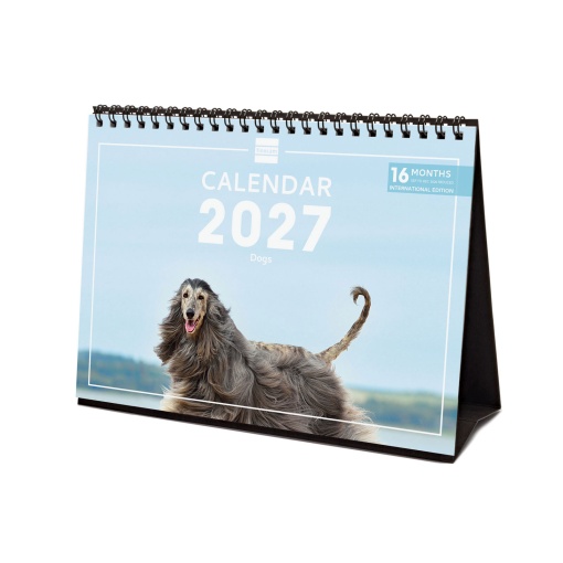 2027 Desk Calendar Finocam 21x15cm Dogs