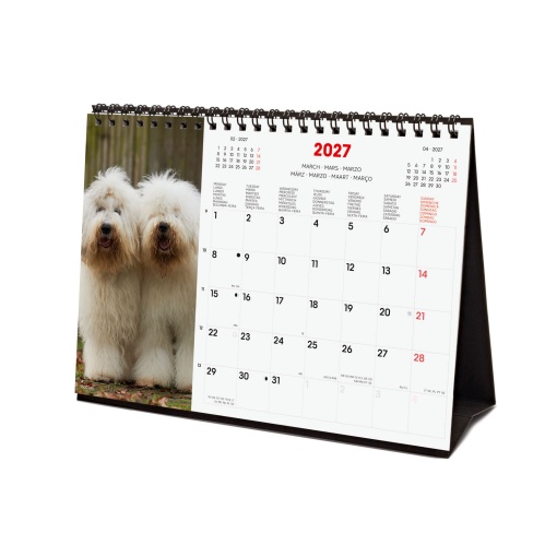 Calendário de secretária 2027 finocam 21x15cm Dogs