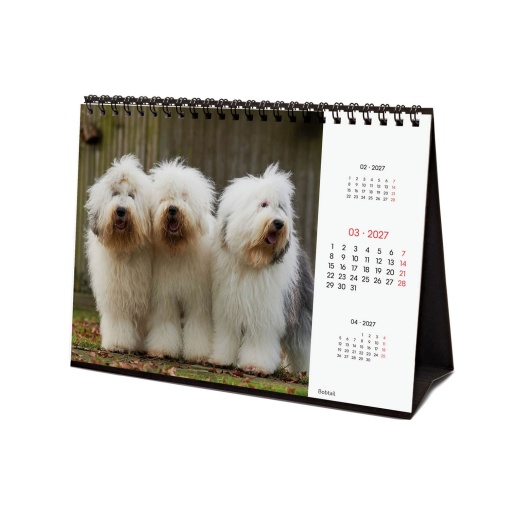 Calendário de secretária 2027 finocam 21x15cm Dogs