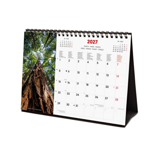 2027 Desk Calendar Finocam 21x15cm Nature
