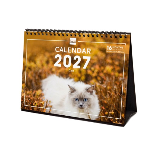 2027 Desk Calendar Finocam 21x15cm Cats