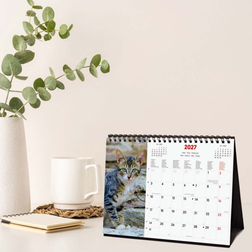 2027 Desk Calendar Finocam 21x15cm Cats
