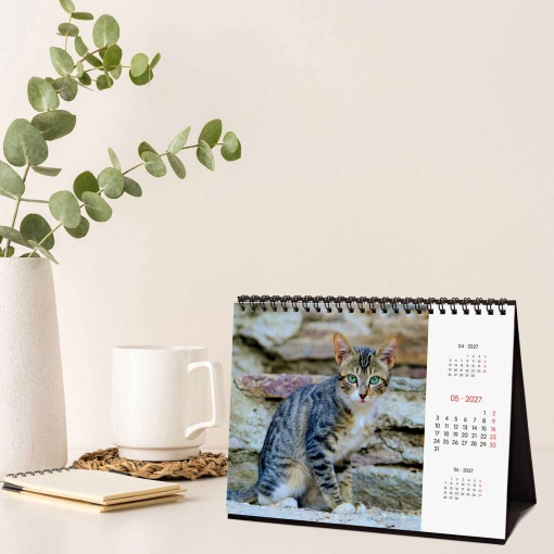 2027 Desk Calendar Finocam 21x15cm Cats