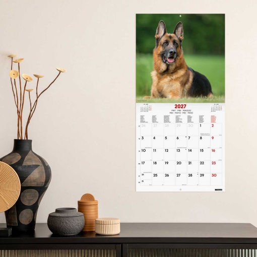 2027 Finocam Wall Calendar 30x30cm Dogs