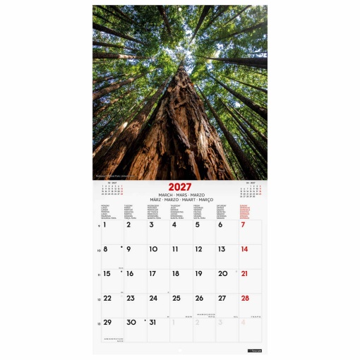 2027 wall calendar finocam 30x30cm Nature