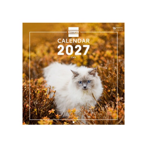 2027 wall calendar finocam 30x30cm Cats