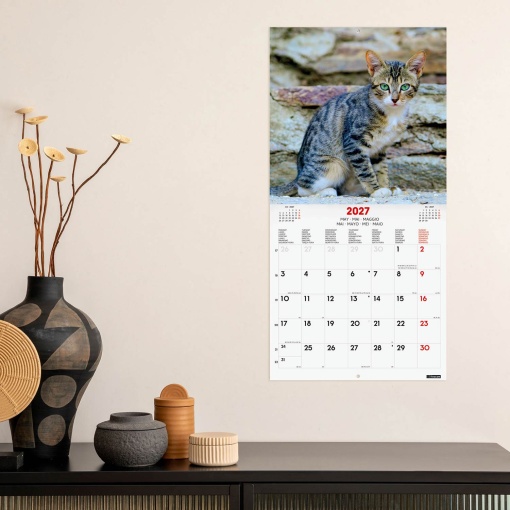 2027 wall calendar finocam 30x30cm Cats