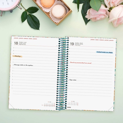 A5 2027 Spiral-Bound Daily Planner, Finocam Fashion, Spike