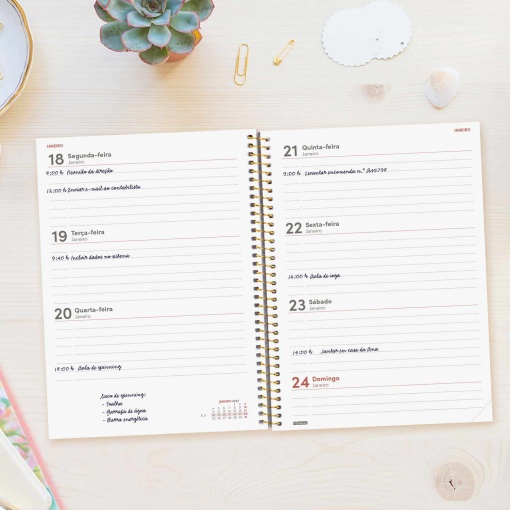 A5 2027 weekly planner, spiral bound, Finocam Beta Goldy