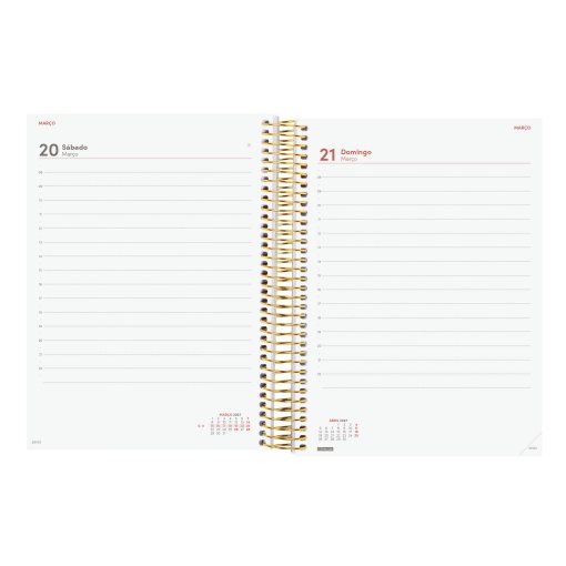 A5 2027 spiral-bound daily planner, Finocam Beta Goldy
