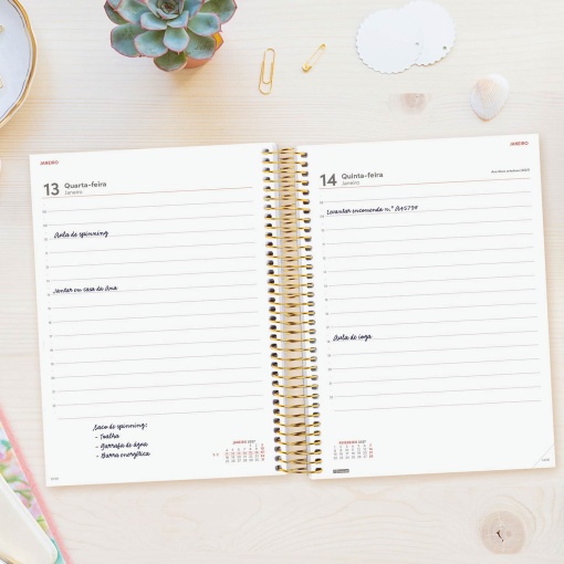 A5 2027 spiral-bound daily planner, Finocam Beta Goldy
