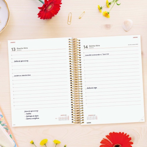 Agenda diária A5 2027 espiral finocam Beta Agora