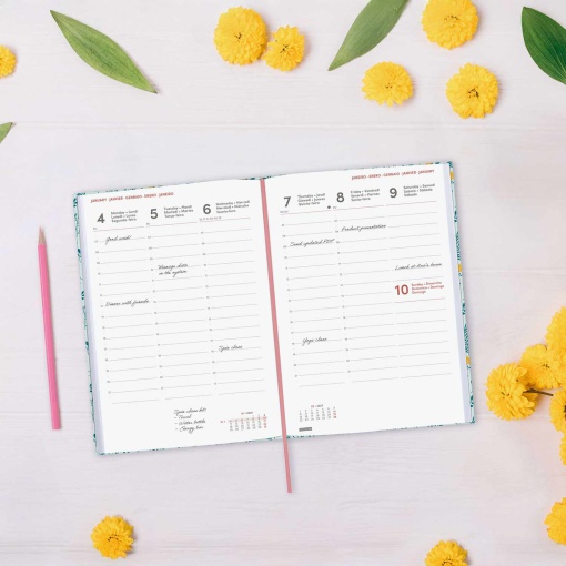 Weekly planner A5 2027 finocam Berlin Wheat