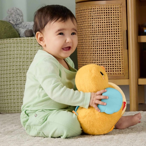 Pato 4 em 1 Gatinha e Abraça fisher-price mattel