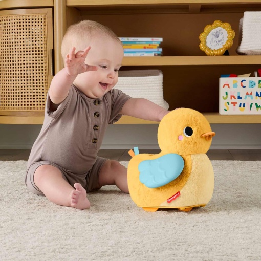 Pato 4 em 1 Gatinha e Abraça fisher-price mattel