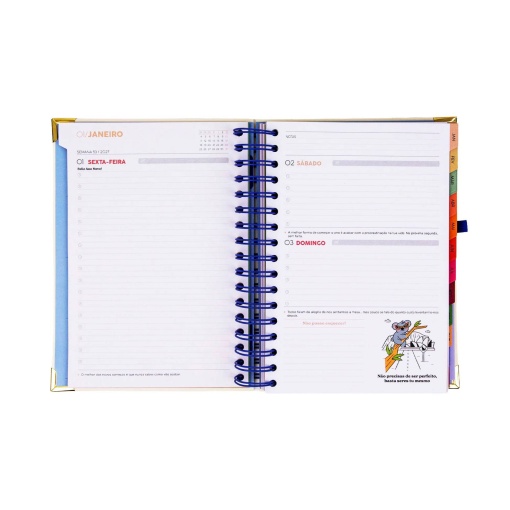 Agenda diária 180x226mm 2027 espiral Mr. Wonderful "Eu penso, eu acredito"