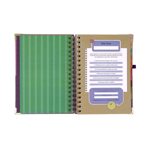 Agenda diária 180x226mm 2027 espiral Mr. Wonderful "Organizada, mais ou menos"