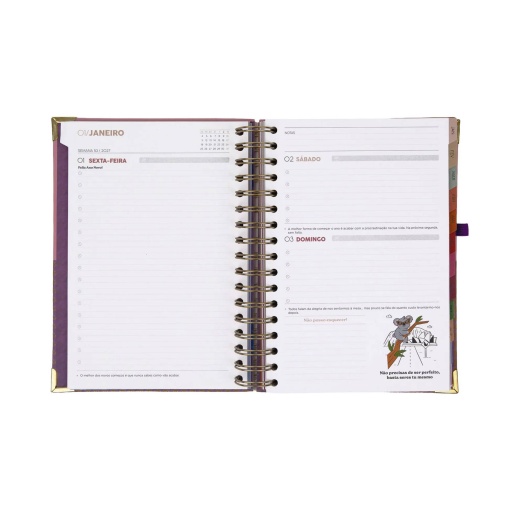 Agenda diária 180x226mm 2027 espiral Mr. Wonderful "Organizada, mais ou menos"