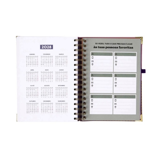 Agenda diária 180x226mm 2027 espiral Mr. Wonderful "Organizada, mais ou menos"