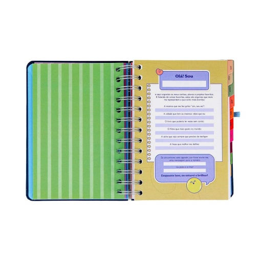 Agenda diária 140x175mm 2027 espiral Mr. Wonderful "Plano para hoje, histórias para amanhã"