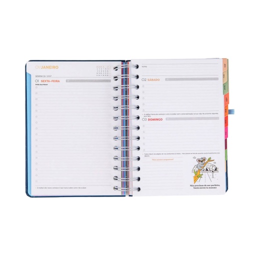 Agenda diária 140x175mm 2027 espiral Mr. Wonderful "Plano para hoje, histórias para amanhã"
