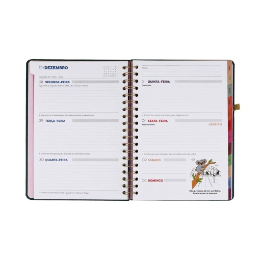Agenda semanal 205x260mm 2027 espiral Mr. Wonderful "Em movimento"
