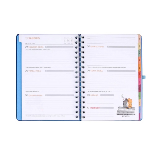Agenda semanal 180x226mm 2027 espiral Mr. Wonderful "Plano para hoje, histórias para amanhã"