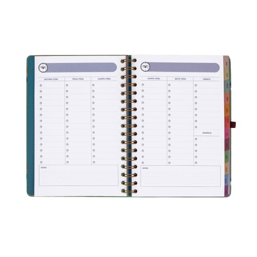 Agenda semanal 180x226mm 2027 espiral Mr. Wonderful "Entre rotinas e tarefas"