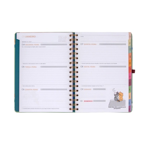 Agenda semanal 180x226mm 2027 espiral Mr. Wonderful "Entre rotinas e tarefas"
