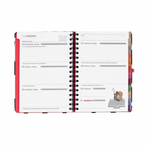 Agenda semanal 180x226mm 2027 con encuadernación en espiral Mr. Wonderful "Organizado, más o menos"