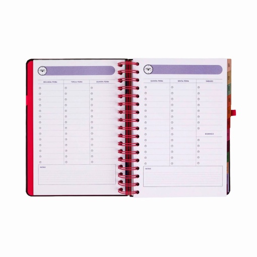 Agenda semanal 140x175mm 2027 espiral Mr. Wonderful "Full Aesthetic"