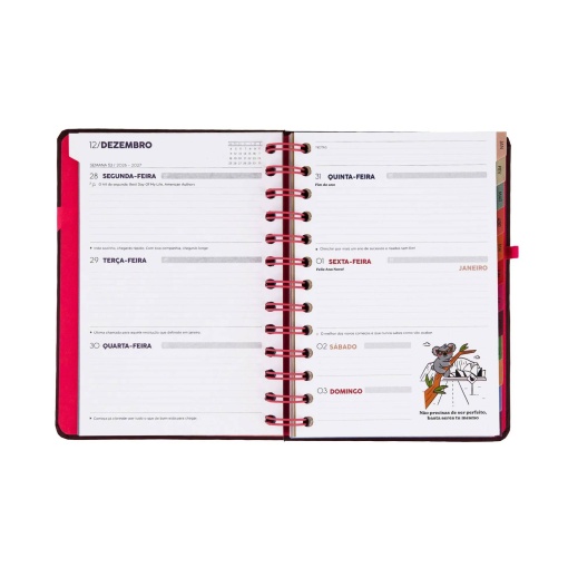 Agenda semanal 140x175mm 2027 espiral Mr. Wonderful "Full Aesthetic"