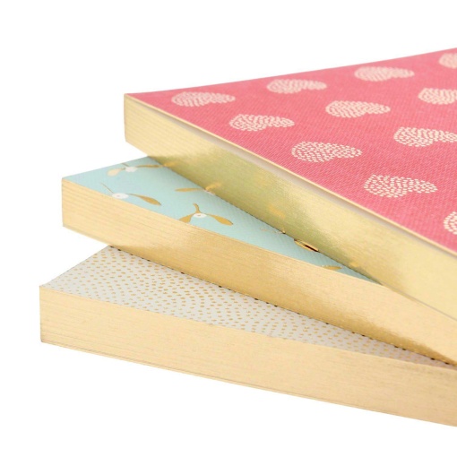 A5 Notebook Rico Design Paper Poetry Advent Mistletoe