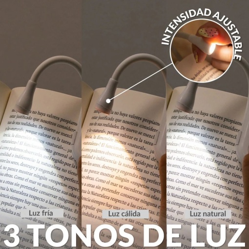 Rechargeable reading light Fissure "Born to Read"