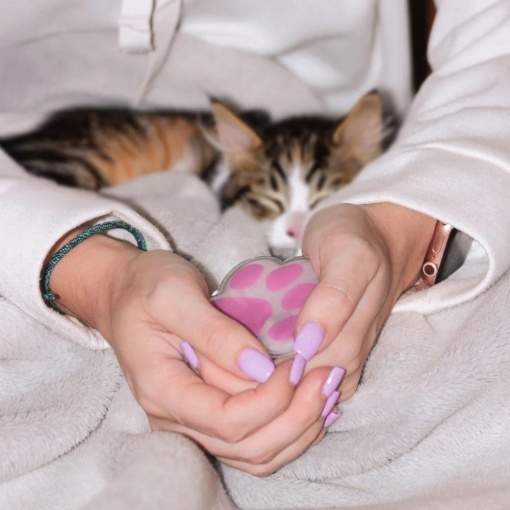 Hand warmer Paw fissure
