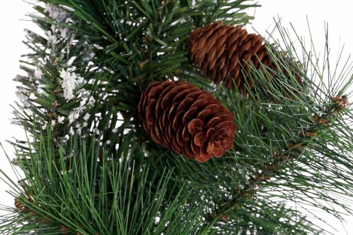 Grinalda pinheiro ITEM