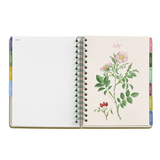 Agenda diária A5 2026 espiral MIQUELRIUS Plus Entredos Amapolas com elástico