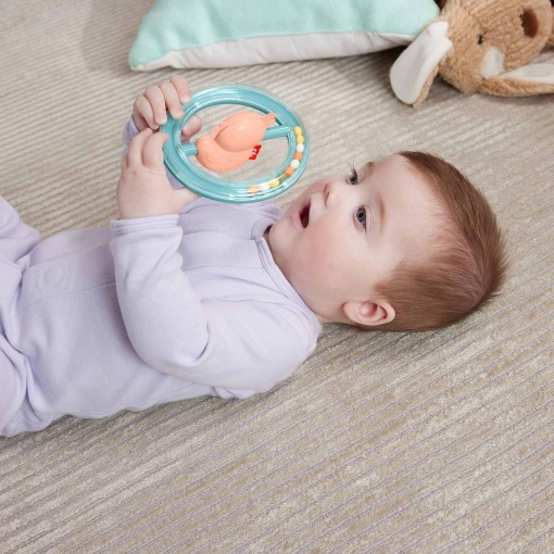 Chocalho sensorial axolote FISHER-PRICE Mattel HRB21/HRB19