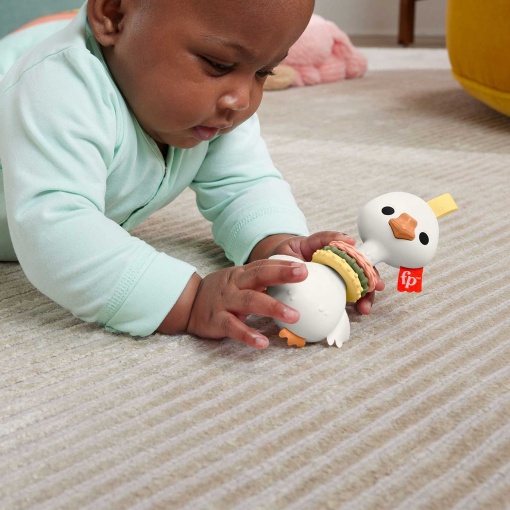 Chocalho sensorial ganso FISHER-PRICE Mattel HRB22/HRB19
