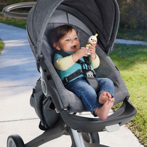 Chocalho sensorial ganso FISHER-PRICE Mattel HRB22/HRB19