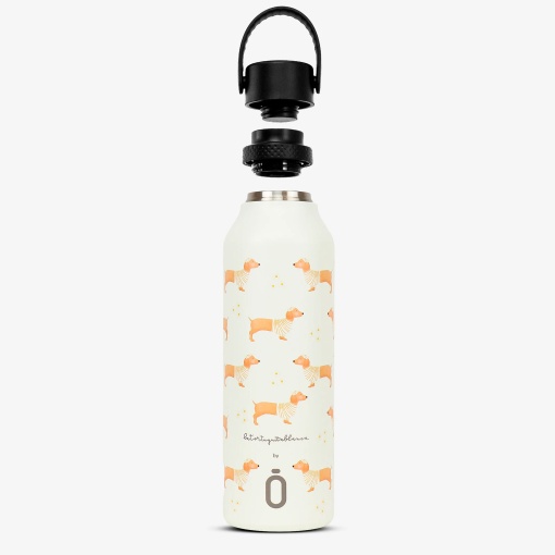 Garrafa térmica RUNBOTT MII La Tortuguita Blanca 600ml teckel daisy