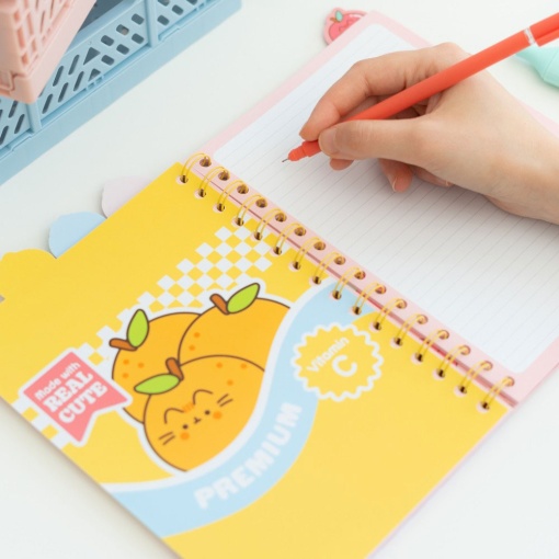 Caderno A5 PUSHEEN Moments pautado 80 folhas 80